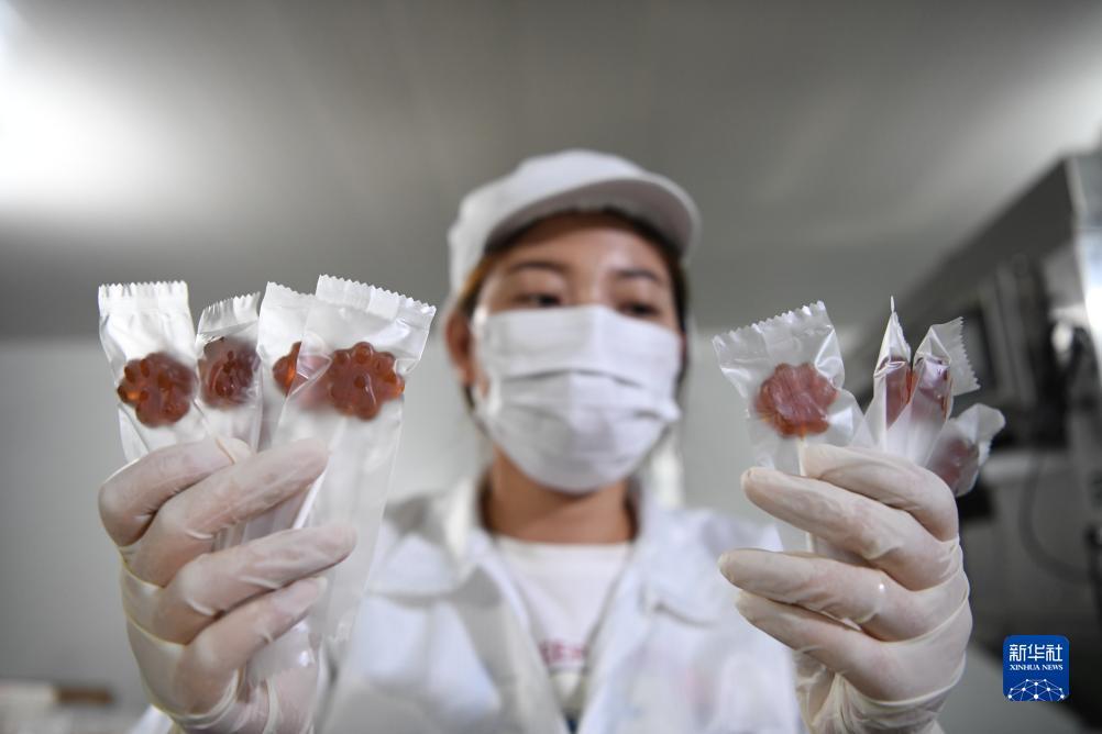 千炮黄金捕鱼